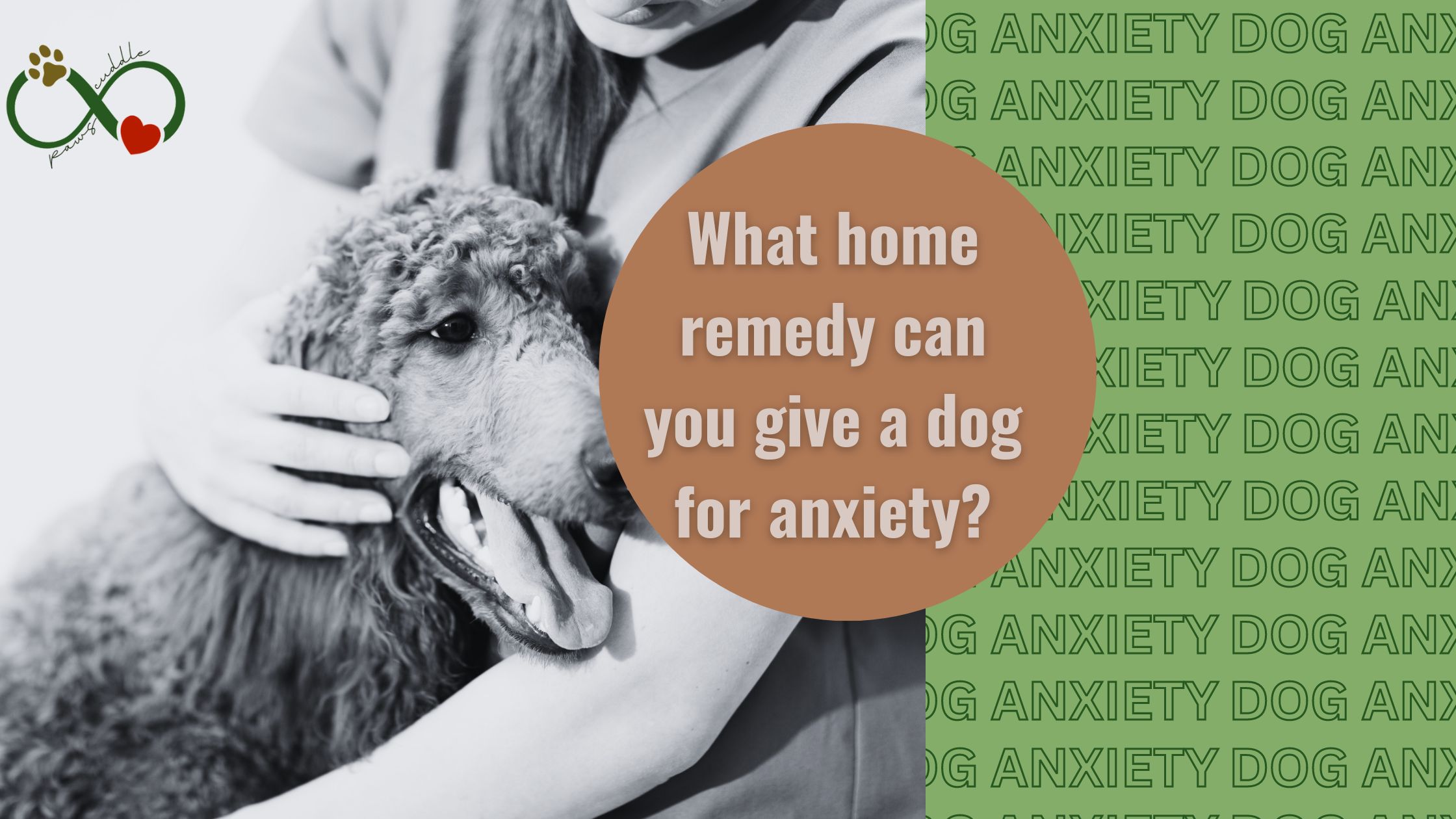 What home remedy can you give a dog for anxiety?