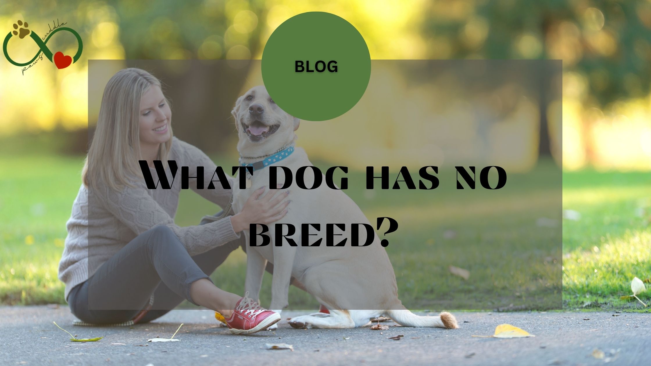 What dog has no breed?