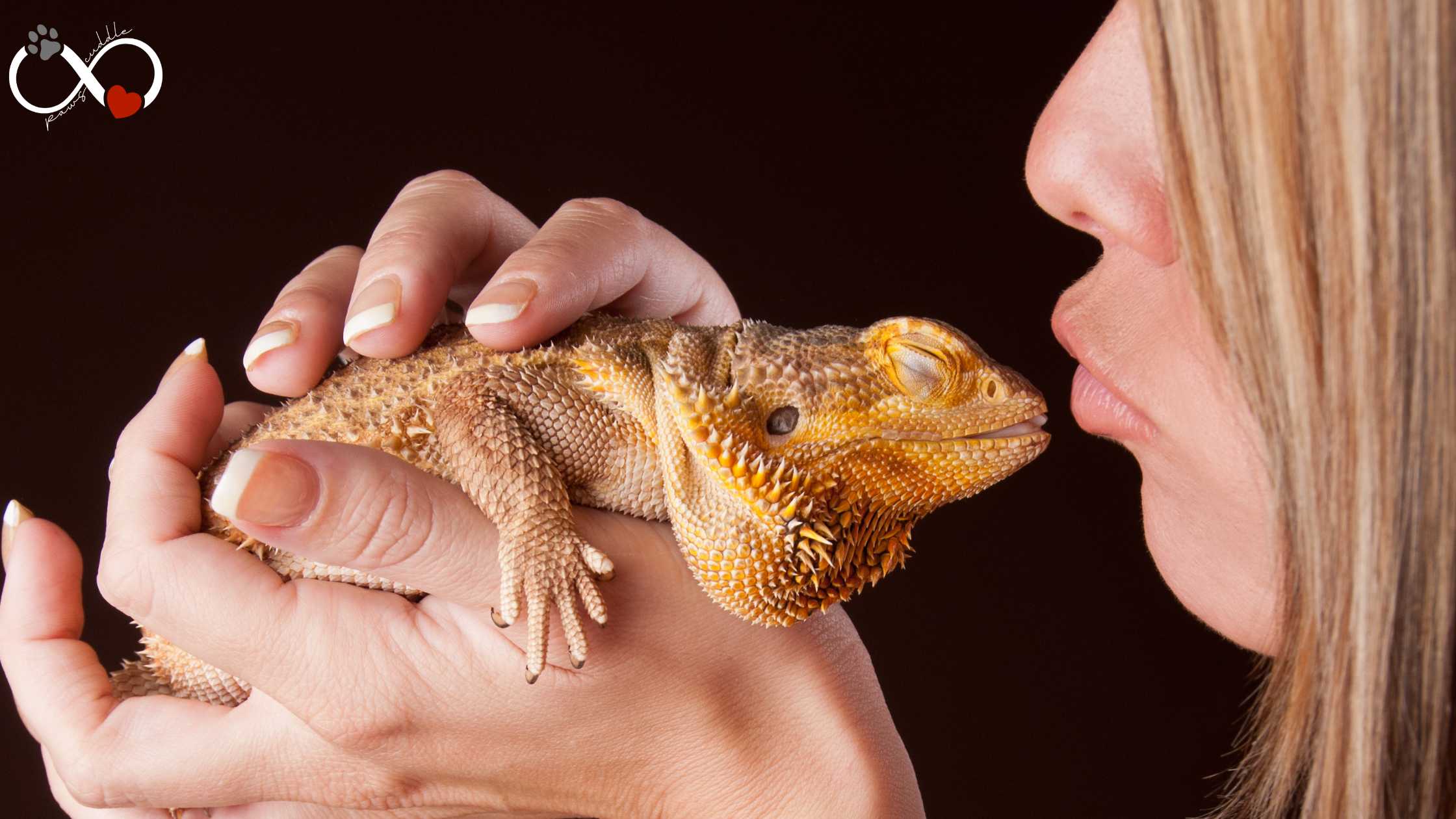 Is it OK to kiss your bearded dragon