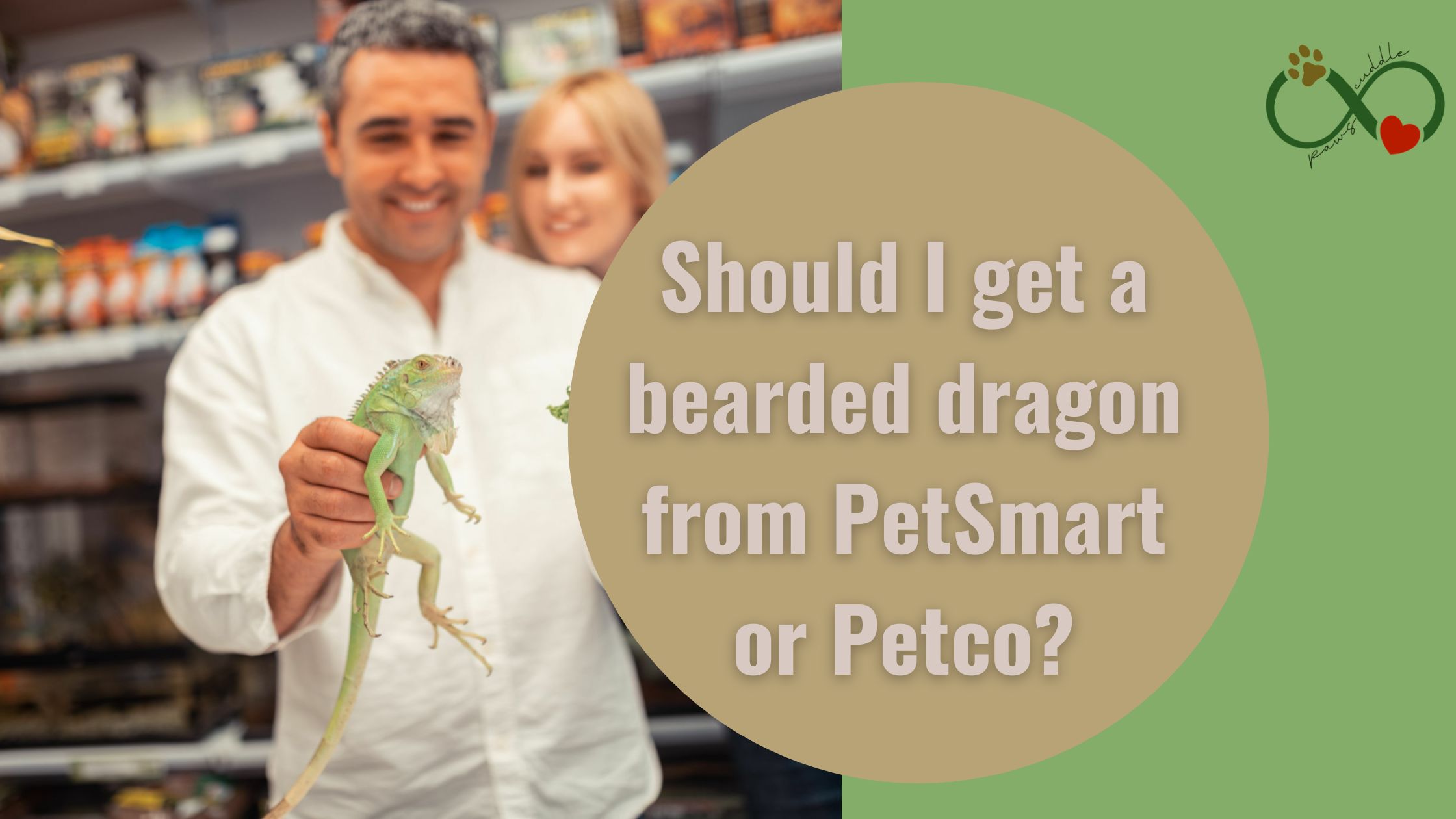 Should I get a bearded dragon from PetSmart or Petco?