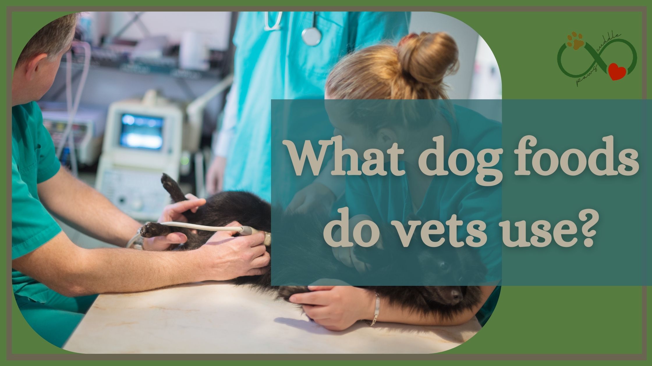 What dog foods do vets use?