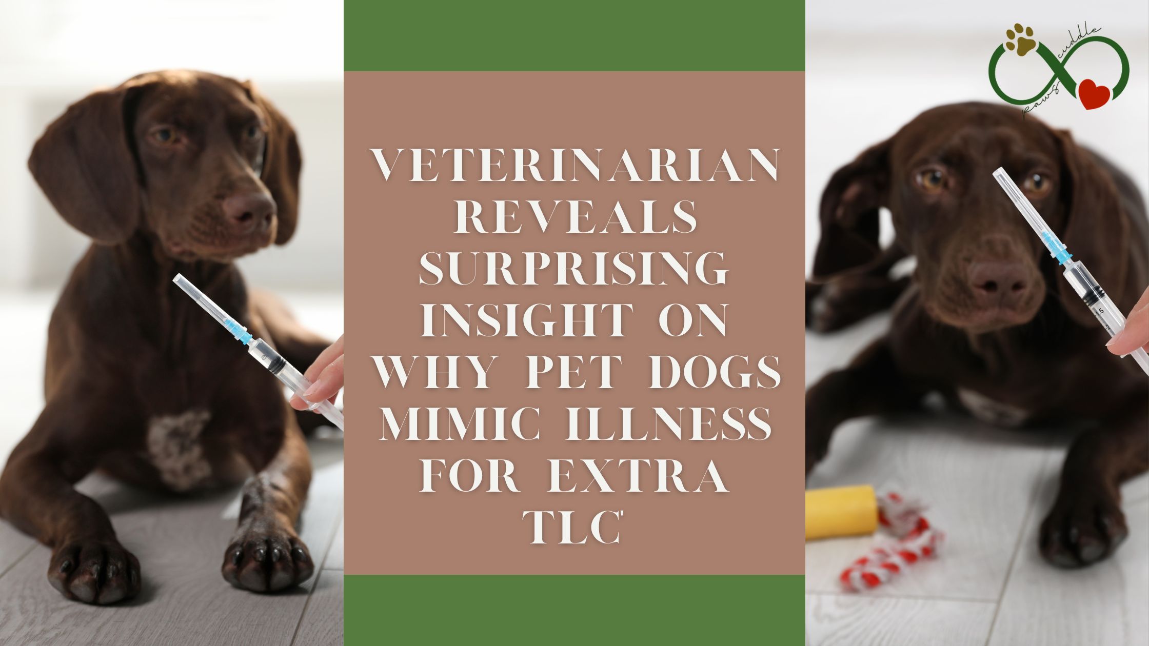 " Veterinarian Reveals Surprising Insight on Why Pet Dogs Mimic Illness for Extra TLC"