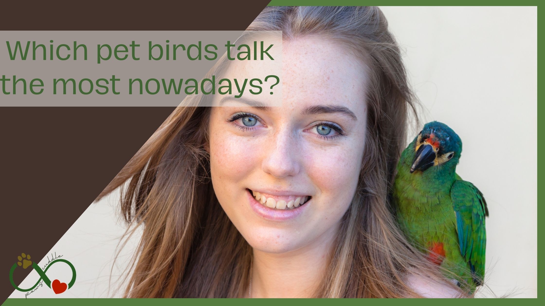 Which pet birds talk the most nowadays?