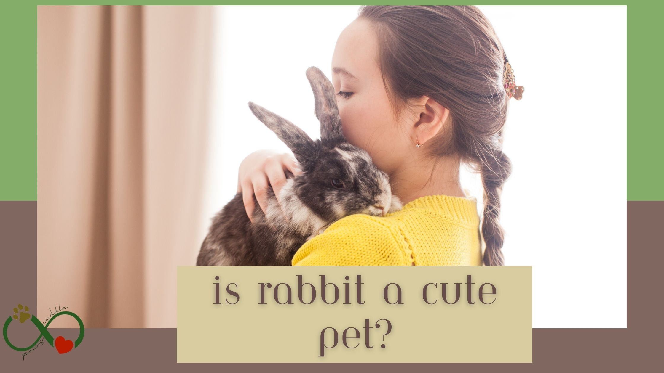 Is rabbit a cute pet?