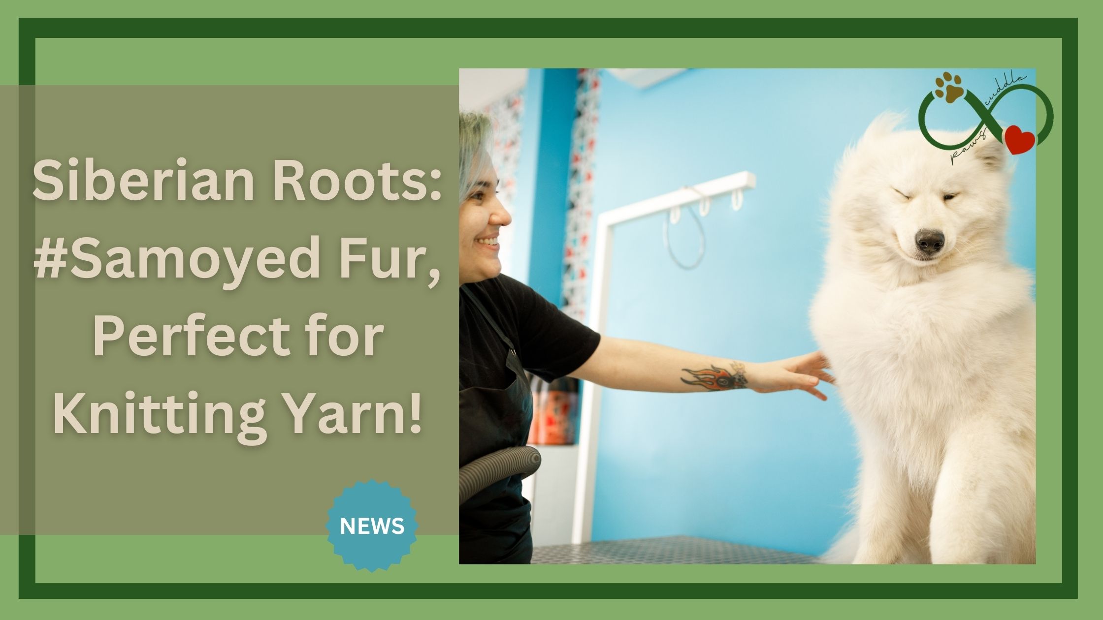 Siberian Roots: #Samoyed Fur, Perfect for Knitting Yarn!