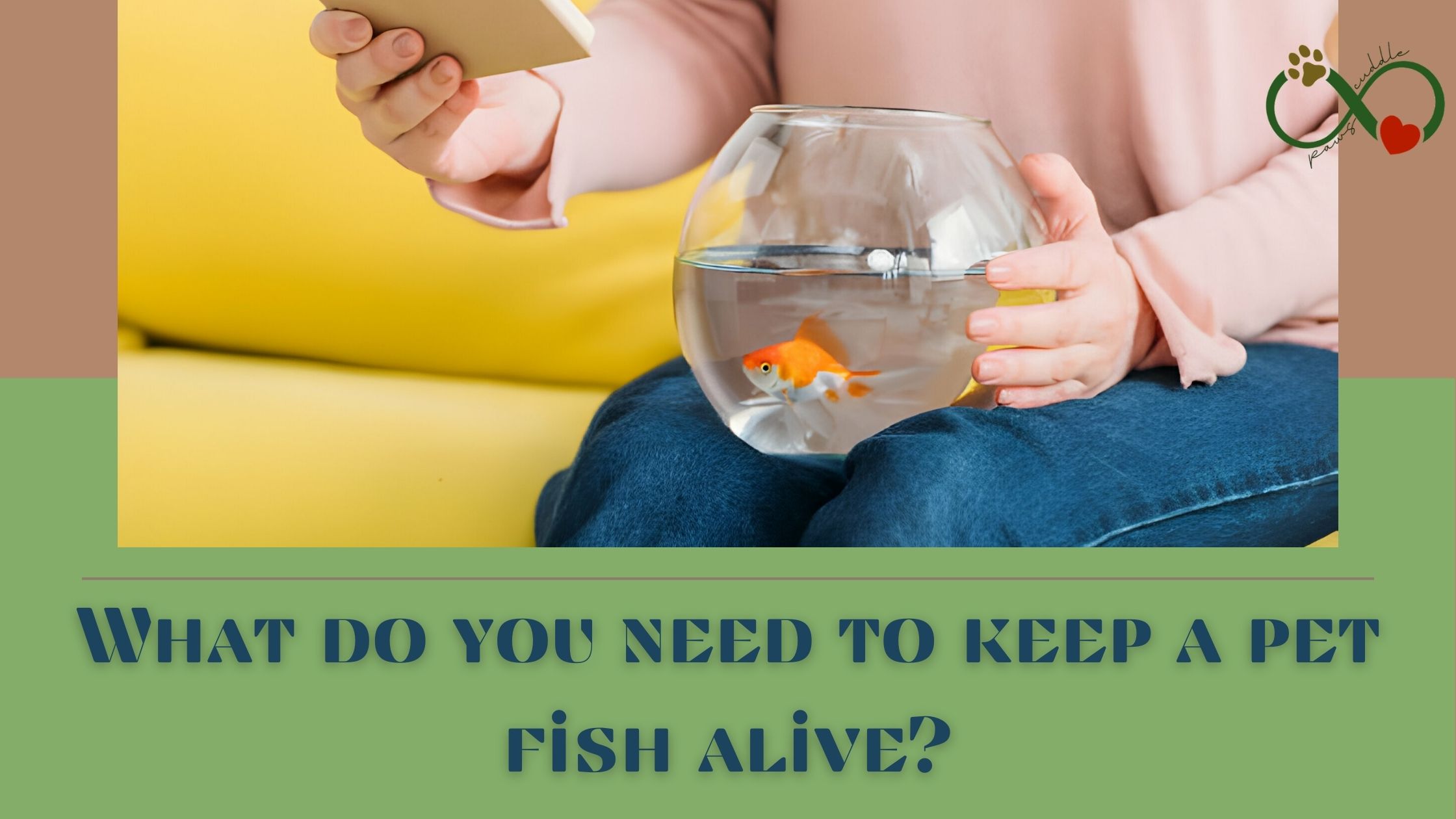 What do you need to keep a pet fish alive?