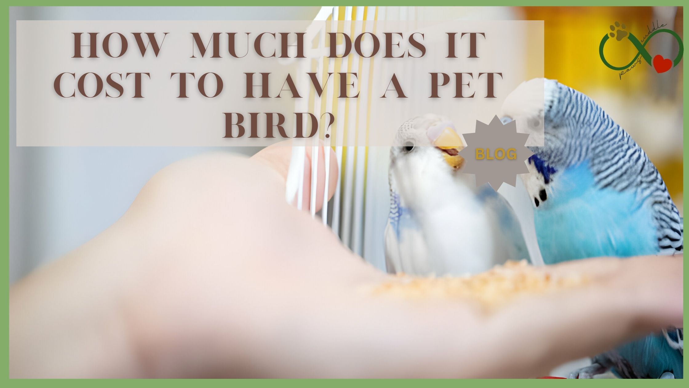 How much does it cost to have a pet bird?